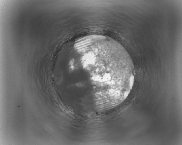 X0000064770913200603031821