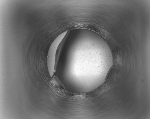 X0000064770914200603031821