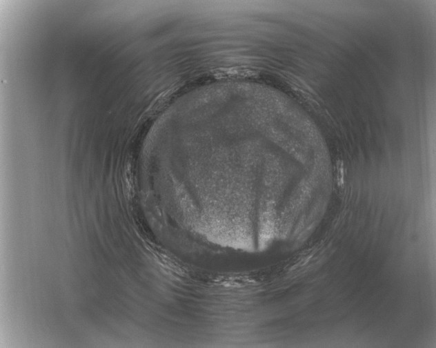 X0000064770915200603031821