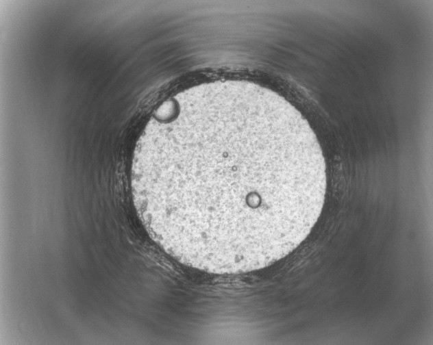 X0000064770918200603031821