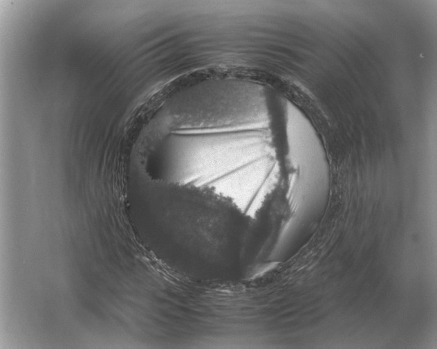 X0000064770919200603031821