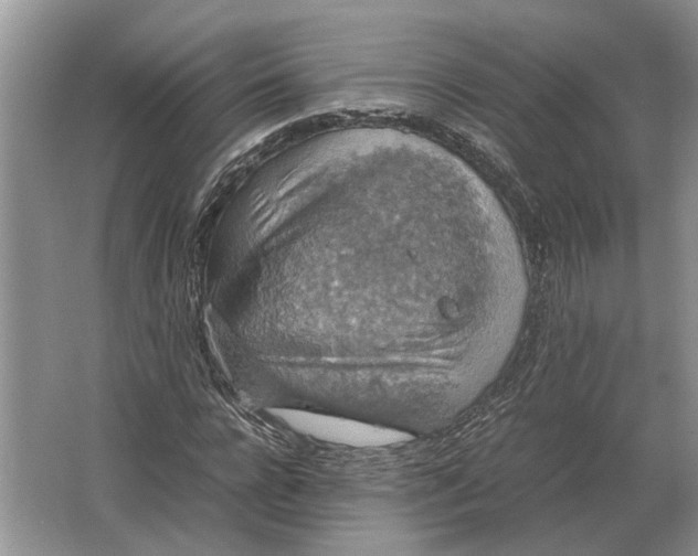 X0000064770920200603031821