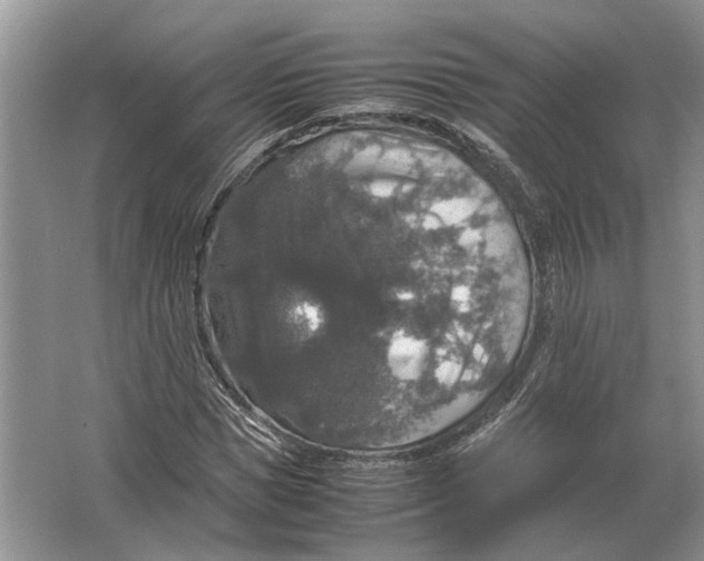 X0000064770921200603031821