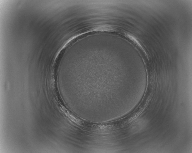 X0000064770923200603031821