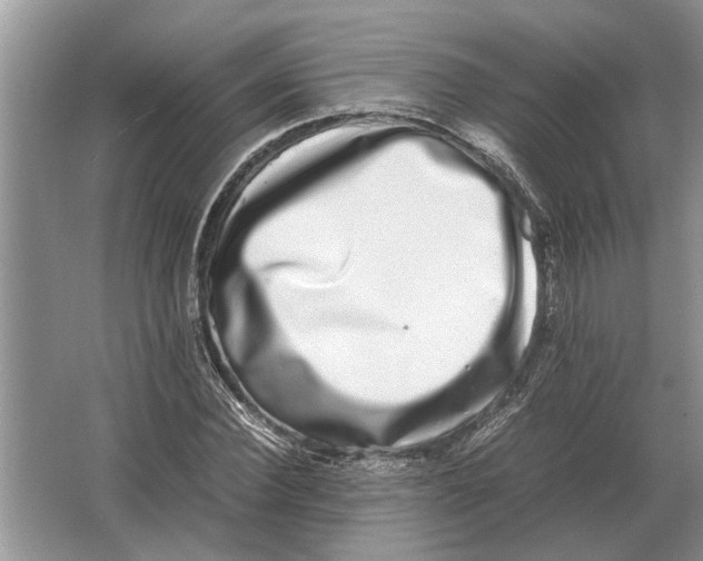 X0000064770924200603031821