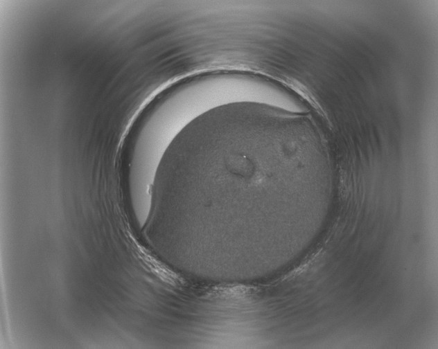 X0000064770926200603031821