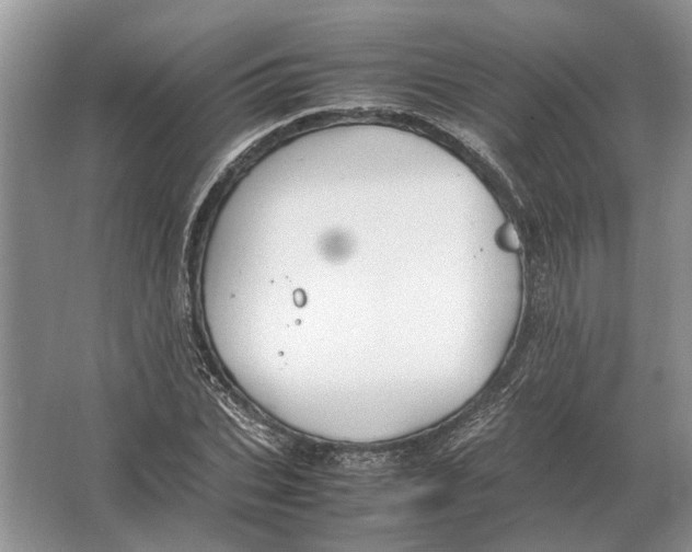 X0000064770927200603031821