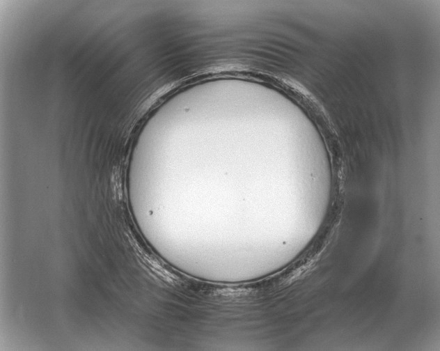 X0000064770929200603031821