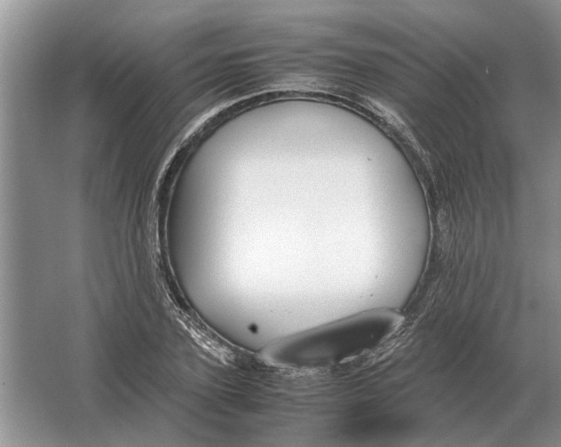 X0000064770931200603031821