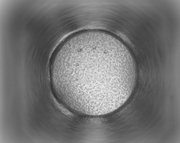 X0000064770934200603031821