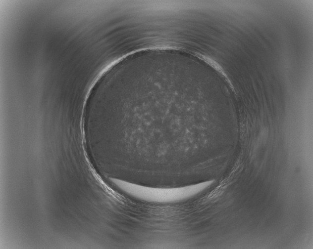 X0000064770935200603031821