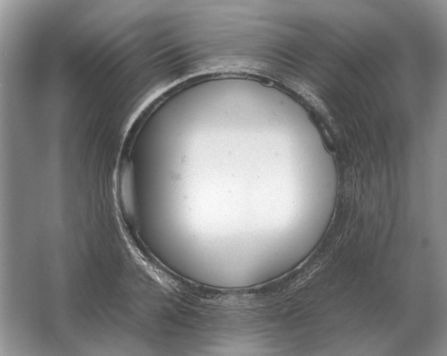 X0000064770936200603031821