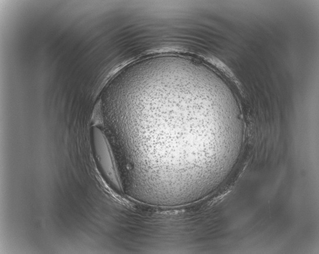 X0000064770937200603031821