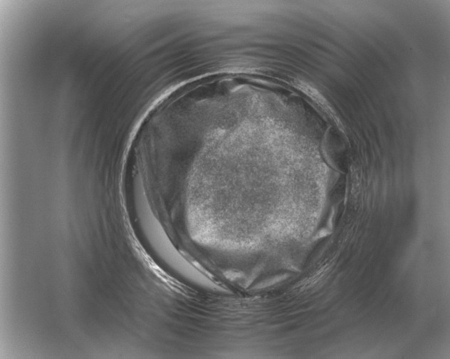 X0000064770939200603031822