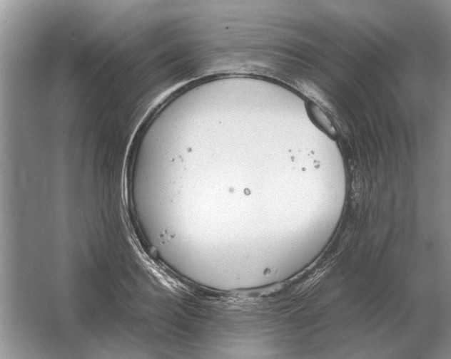 X0000064770940200603031822