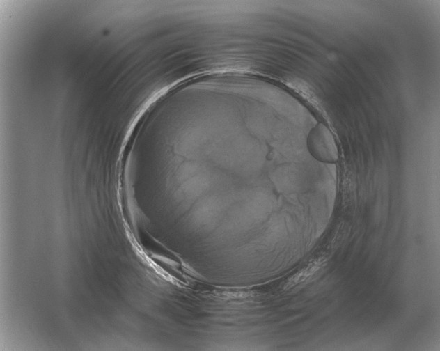 X0000064770941200603031822