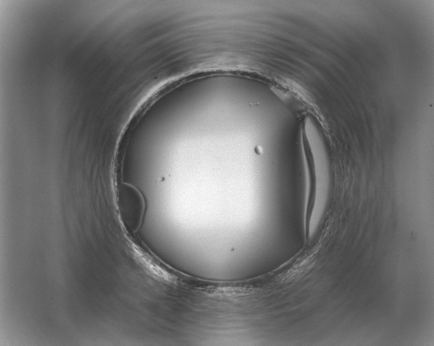 X0000064770942200603031822