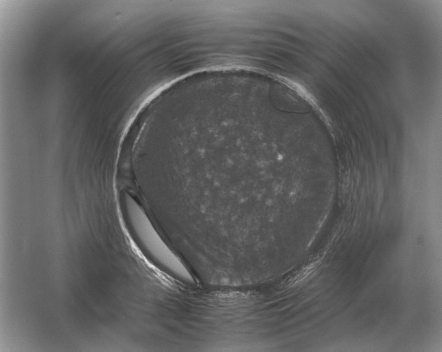 X0000064770943200603031822