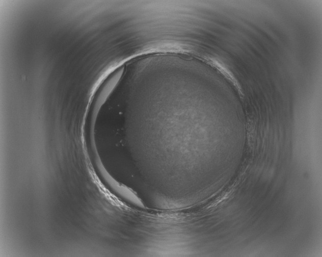 X0000064770944200603031822