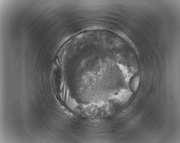 X0000064770945200603031822