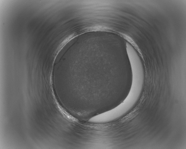 X0000064770946200603031822