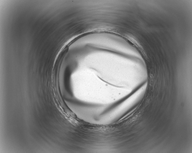 X0000064770948200603031822