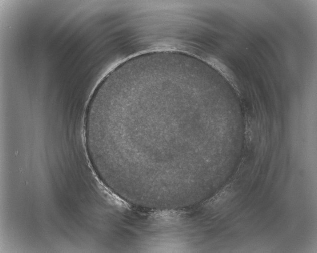 X0000064770950200603031822