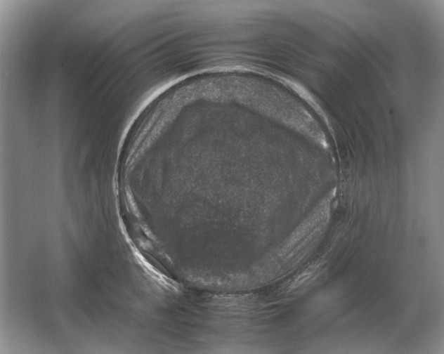 X0000064770951200603031822