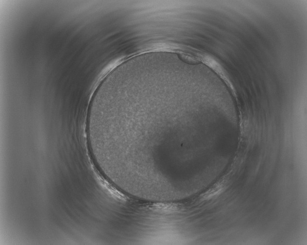 X0000064770954200603031822