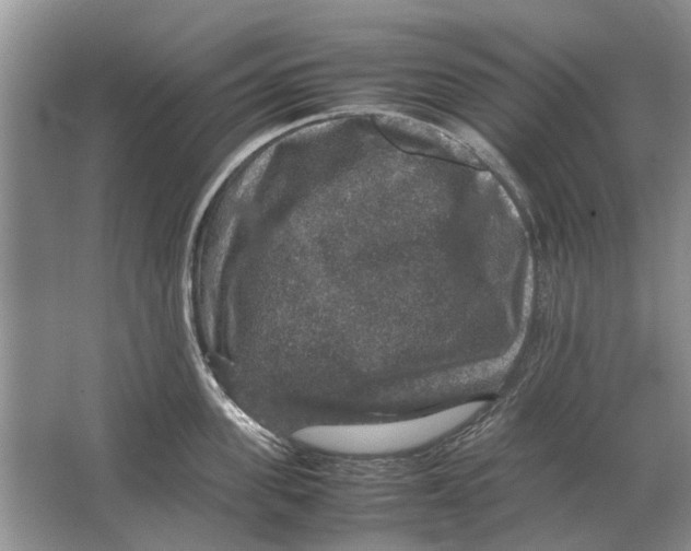 X0000064770955200603031822