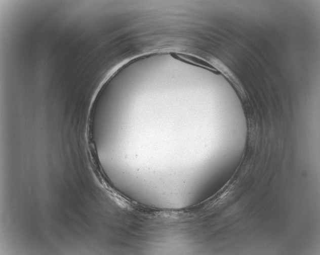 X0000064770956200603031822