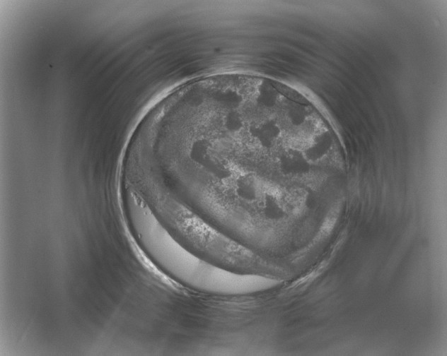 X0000064770957200603031822