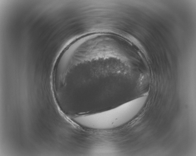 X0000064770958200603031822