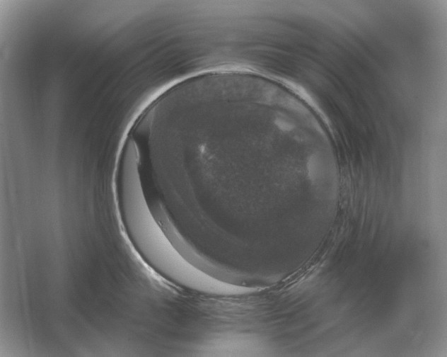 X0000064770959200603031822