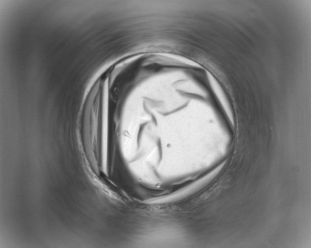 X0000064770960200603031822