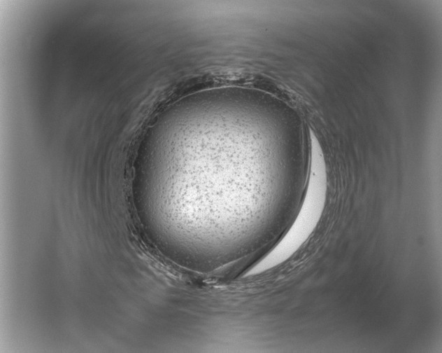 X0000064770961200603031821