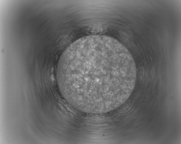 X0000064770962200603031821