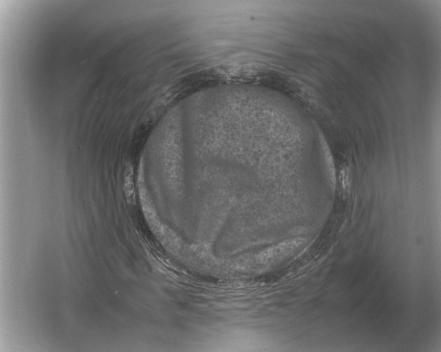 X0000064770963200603031821