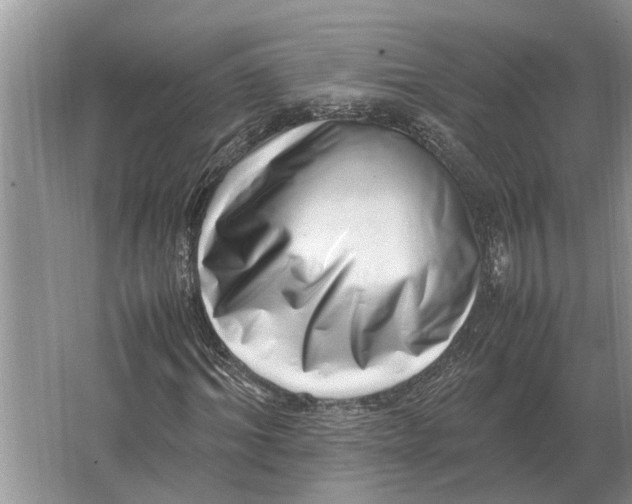 X0000064770964200603031821