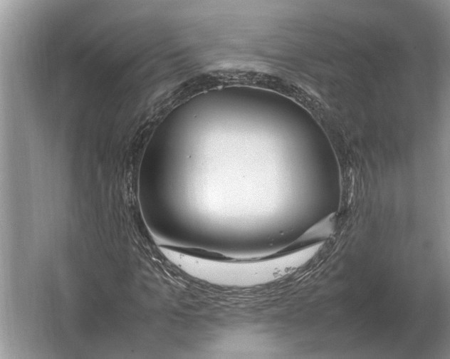 X0000064770965200603031821