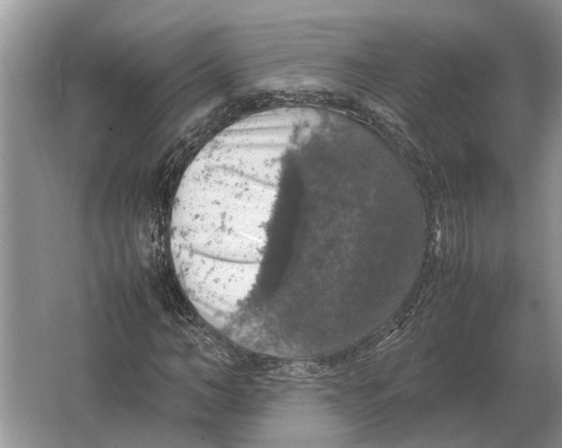 X0000064770966200603031821