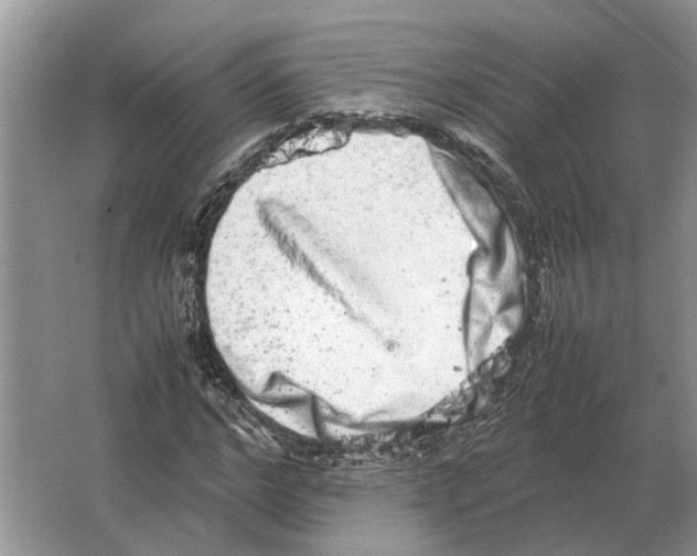 X0000064770968200603031821