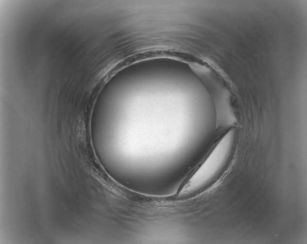 X0000064770969200603031821