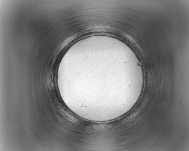 X0000064770970200603031821