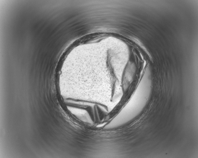 X0000064770972200603031821