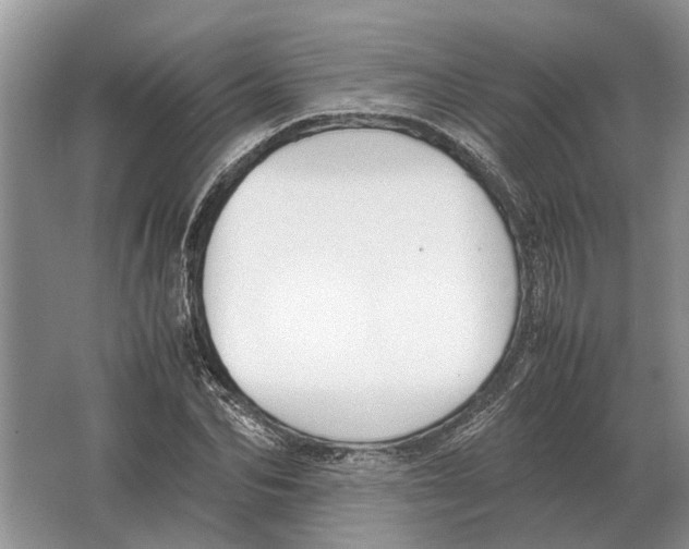 X0000064770974200603031821