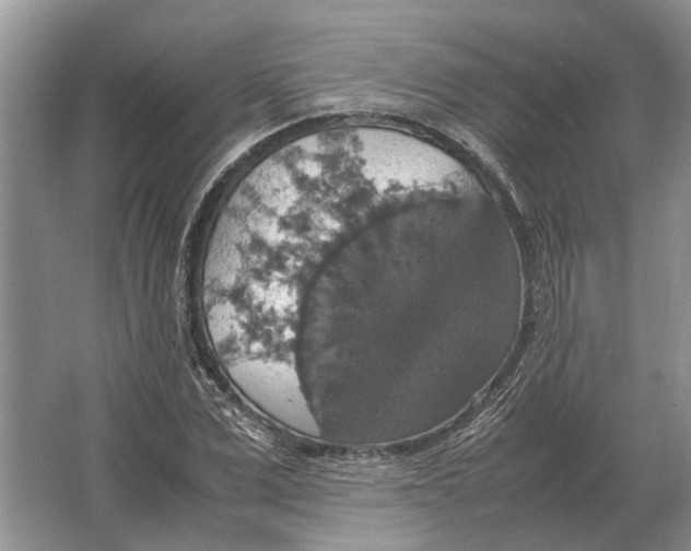 X0000064770975200603031821