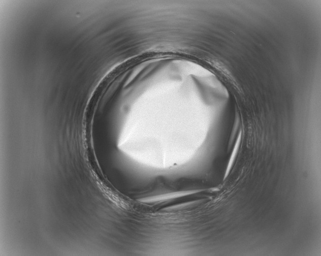 X0000064770976200603031821