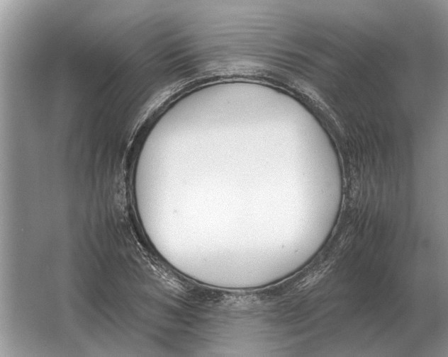 X0000064770978200603031821