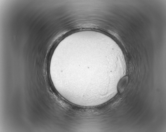 X0000064770979200603031821